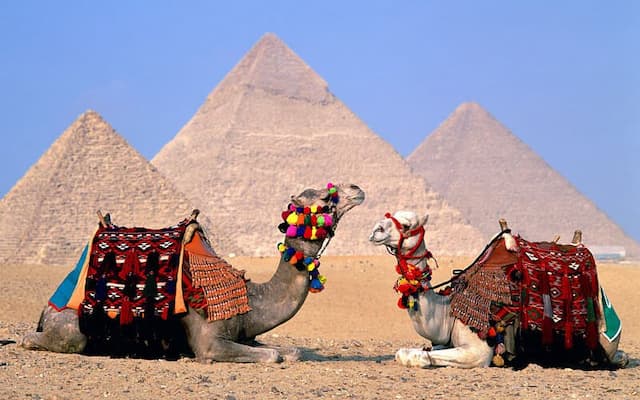5 Days Cairo, Alexandria & Luxor by flight Tour Package 2